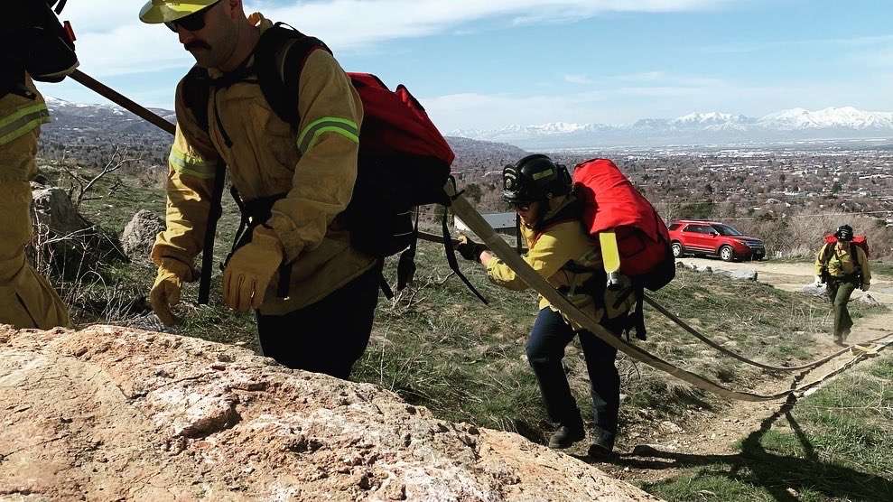 FireFighters performing wild land operations.